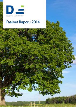 faaliyet_raporu_2014