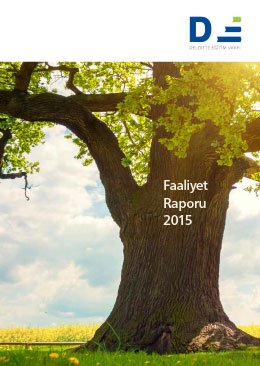 faaliyet_raporu_2015
